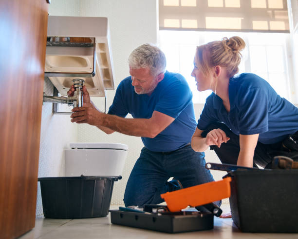 Best Commercial Plumbing Services  in Van Vleck, TX